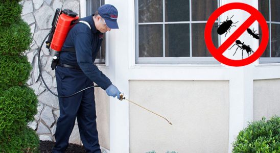 Polatlı Haşere İlaçlama böcek ilaçlama ve haşere kontrolü — ilaclama-tr.com